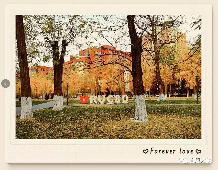 一个非典型的投资人的崛起,非典型投资者的感受