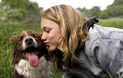 为什么边牧当不了导盲犬,为什么说边牧的智商排第一
