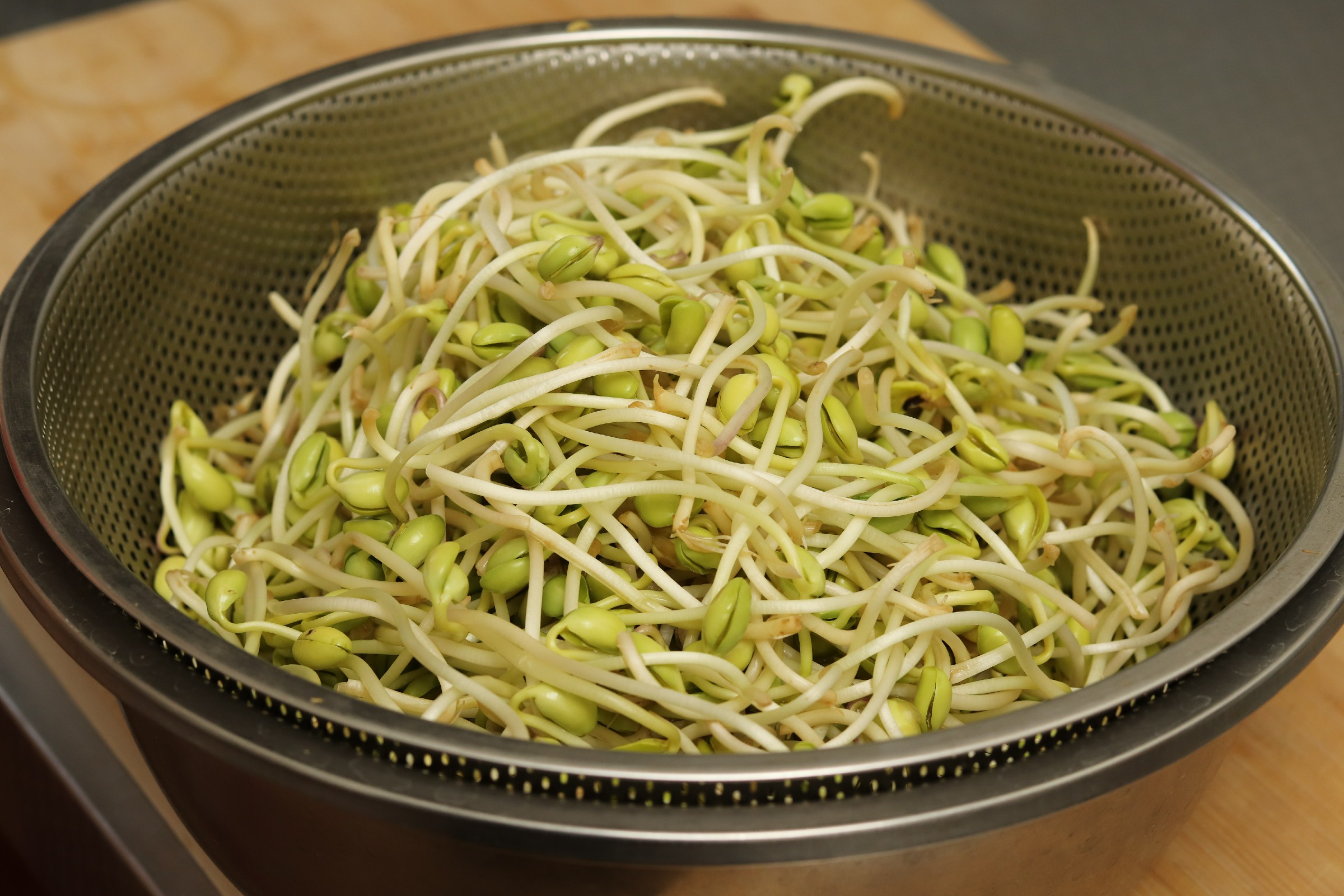 豆芽怎么在土壤里发芽,不用胶水就可以发豆芽的方法