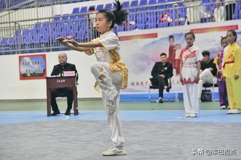 安康市第十七届运动会武术套路（青少年组）比赛在平利县闭幕