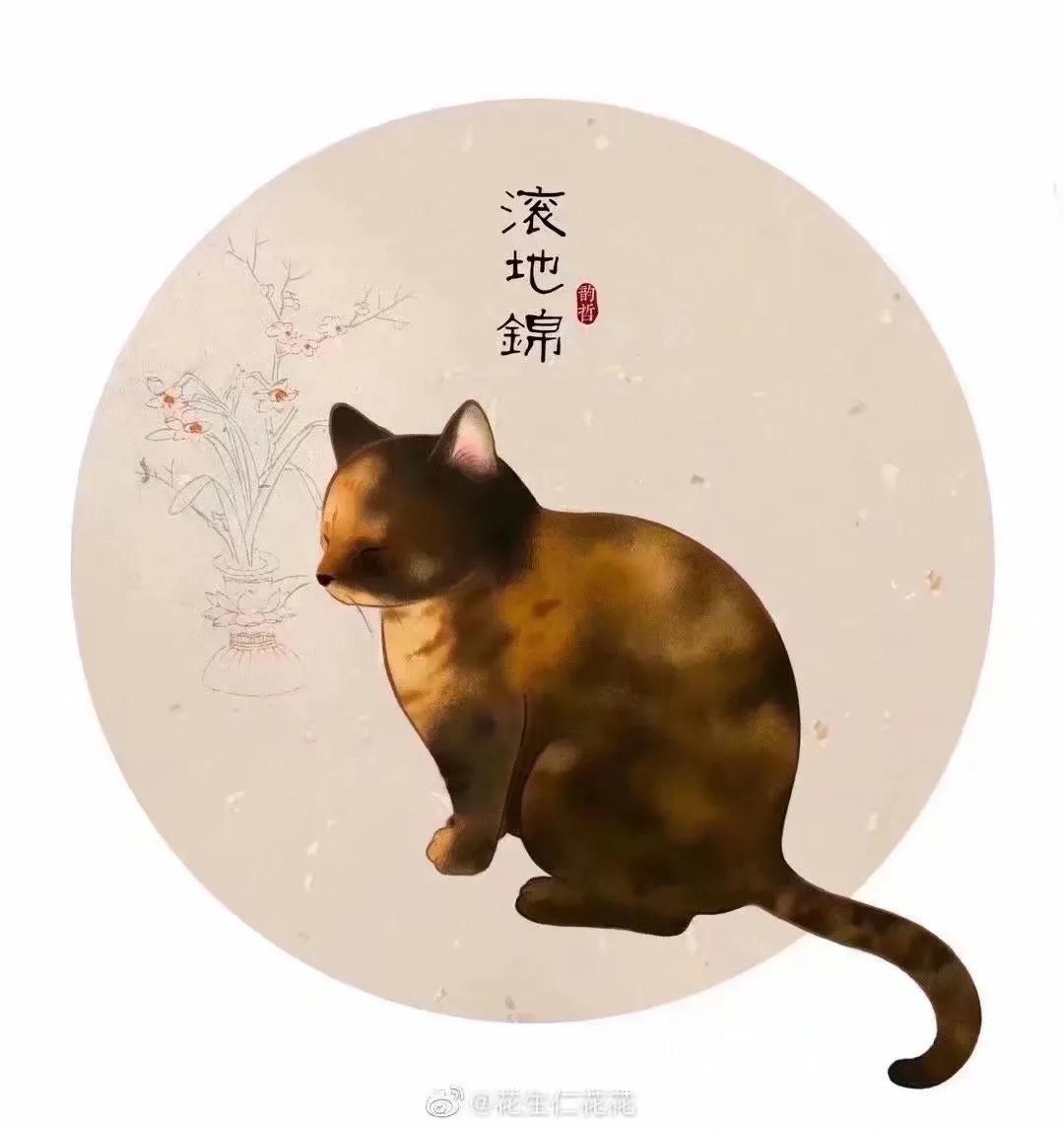 猫在古代是如何看待猫的,古人按猫的颜色分类