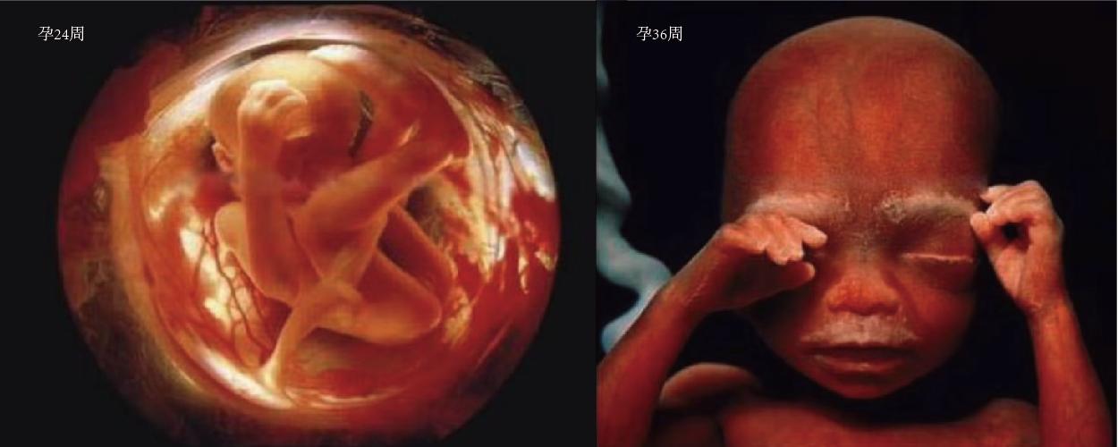 一个婴儿诞生的全过程,婴儿诞生全过程视频