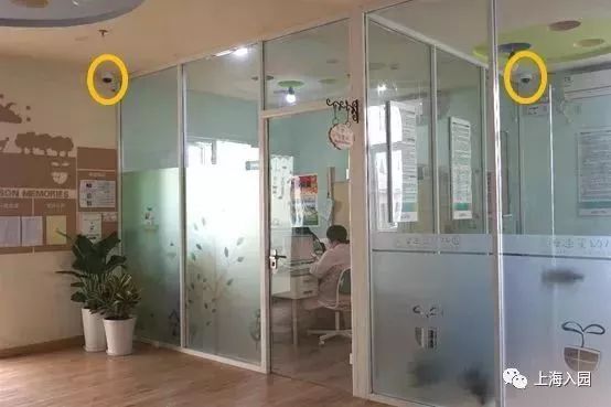 探园|这所幼儿园堪称“天然氧吧”！开办2年人气超高！报名人多