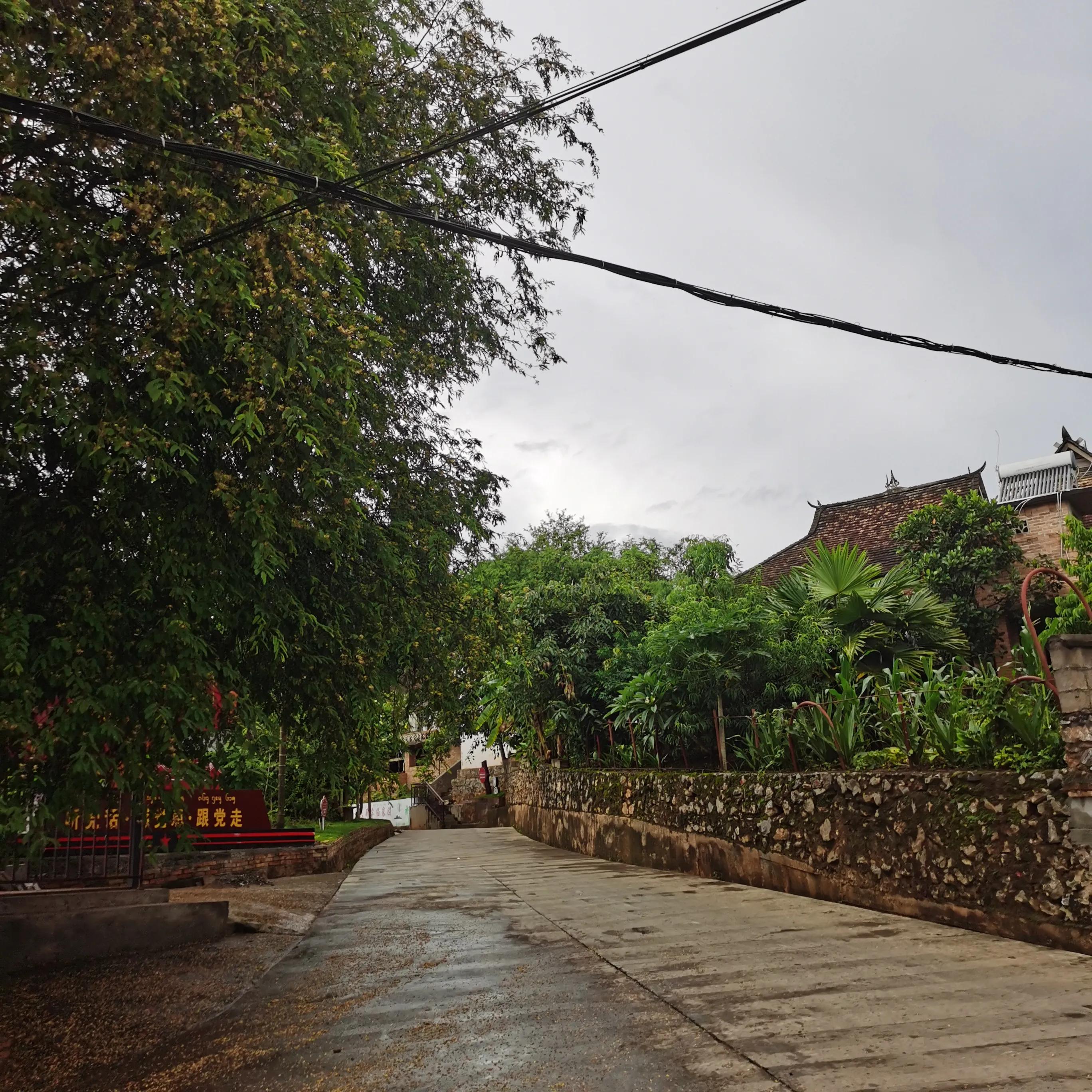 西双版纳曼远村游,西双版纳自由行一天攻略傣族园