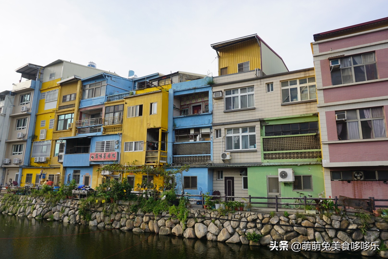 七月你好直播完整版,七月你好表演