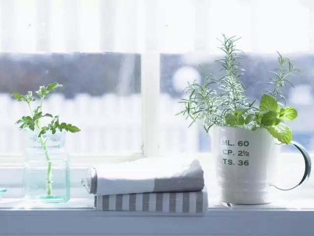 语文文学常识大全最全,语文文学常识总汇大全