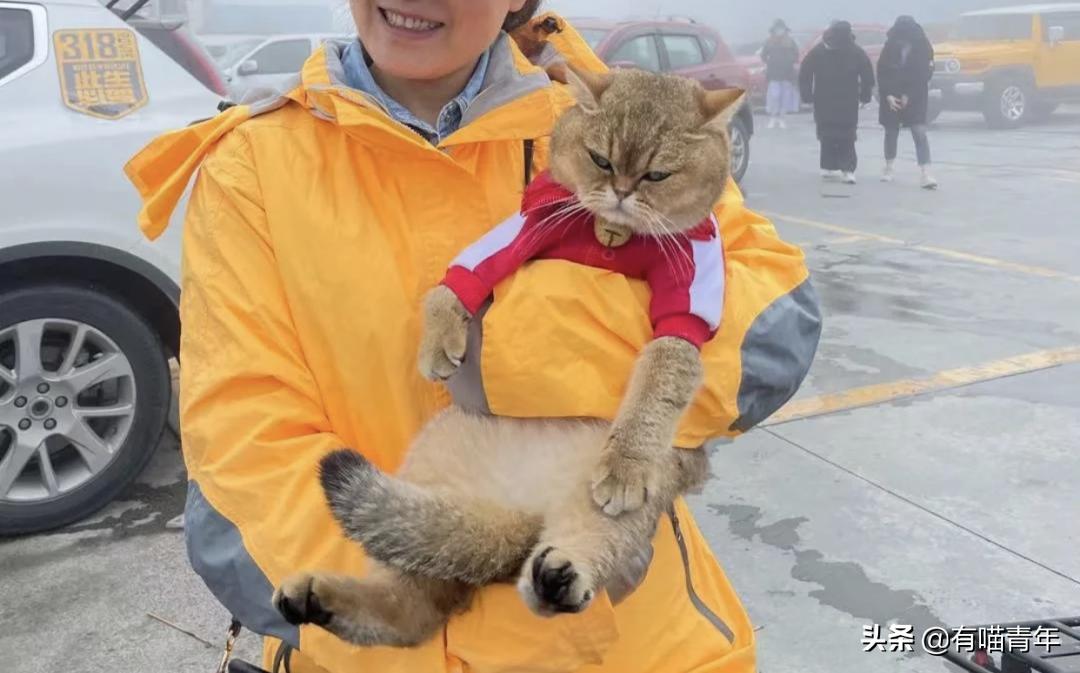 网红绑猫*藏西**骑行求关注,遭网友质疑回怼:比在家里刺激多了