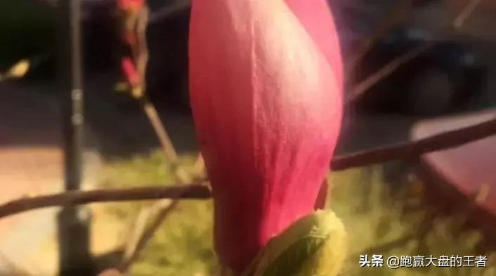 变盘时间窗口推算,时间窗口变盘方法图解