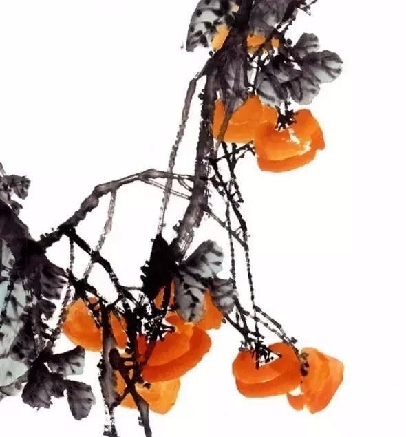 写意柿子叶的画法步骤图,徐湛写意柿子的画法