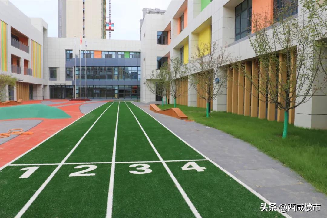 新增的231个学位是什么,5年内新增438万公办学位