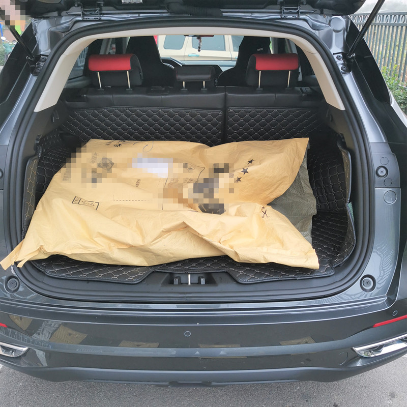 鍐颁笣鑴氬灚,鍐颁笣姹借溅鑴氬灚