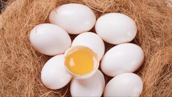 鸽子蛋鹌鹑蛋哪个更营养,鸽子蛋鹌鹑蛋哪个比较营养