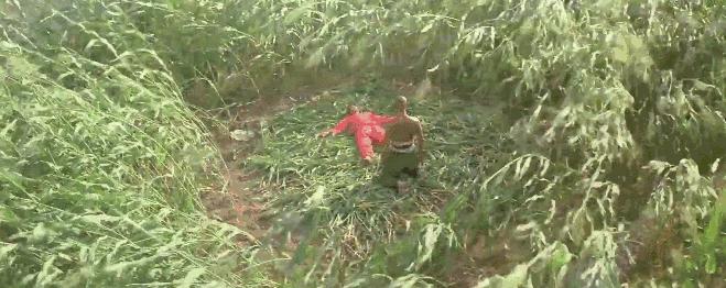 史可和巩俐什么关系,史可巩俐年纪多大