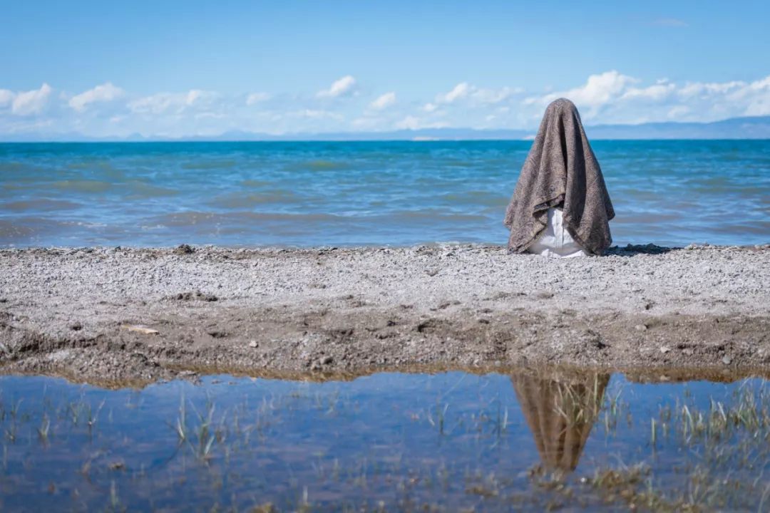 只要你面朝青海湖，八月依旧春暖花开