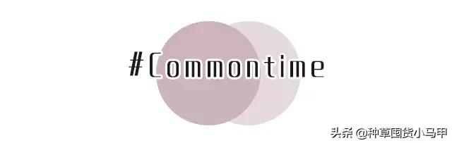 专柜出现假货新闻,专柜售假是真的吗