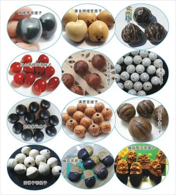 菩提手串串珠教程款式,菩提手串都有什么款式