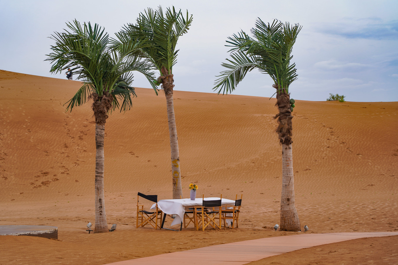 宁夏沙漠旅游住哪里好,宁夏中卫民宿价格表