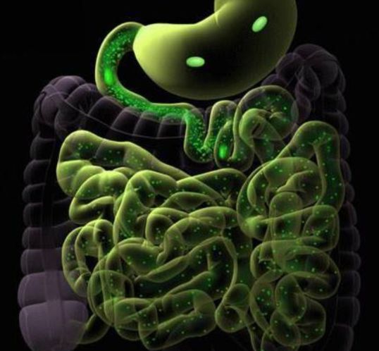 新生儿黄疸如何预防和降低,新生儿黄疸高怎么有效的降低