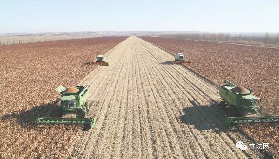 本集体经济组织成员认定标准,集体经济组织成员资格的认定标准