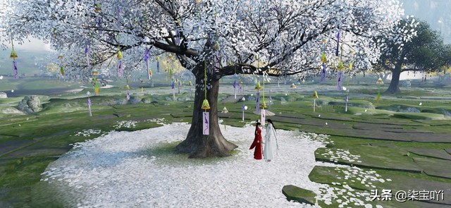 此致爱情小说好看吗,此致爱情小说讲的什么