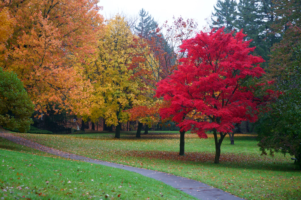 加拿大天气不光冷，也热死人，也四季如春