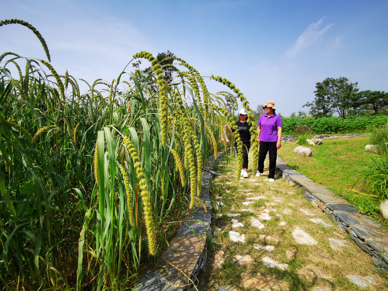 北京最大的温泉,北京最大的温泉是哪里