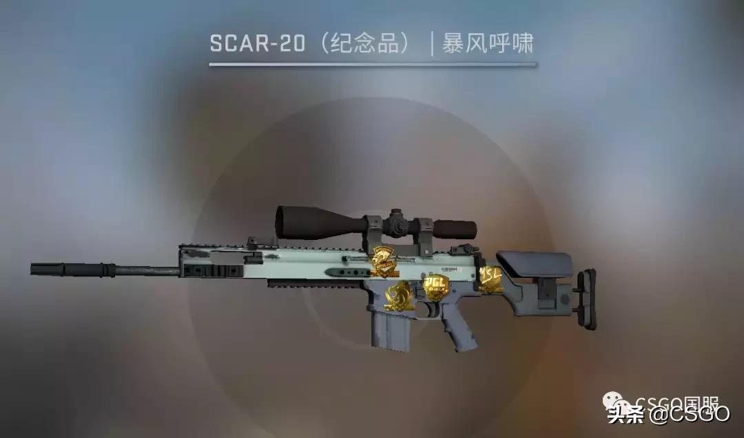 古堡箱子各皮肤价值,古堡箱子出什么龙狙