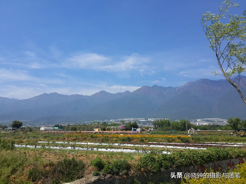 大理龙龛村的秘密,大理龙龛村