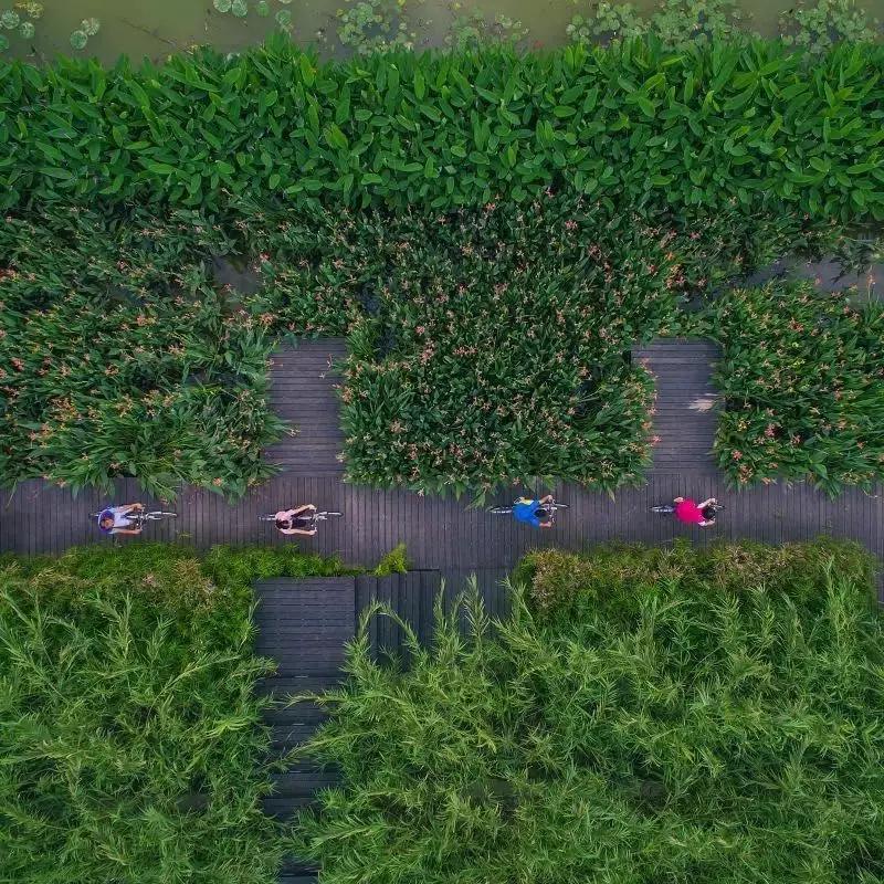 必打卡的宝藏公园,这些宝藏打卡地分分钟让人美到