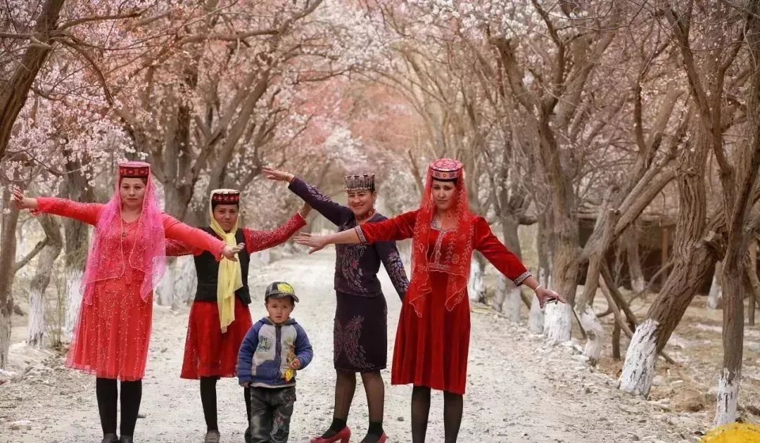 走马春季追花线|春漫*疆新**，牧笛声声中的杏花村