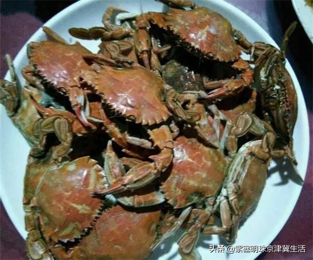 大钦岛旅游渔家乐,夏天最美的海边风景