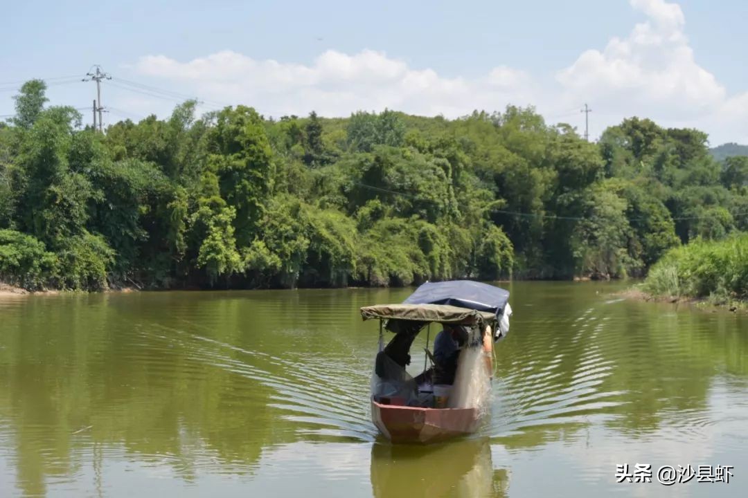 沙县总共有几个乡镇,沙县是属于哪个市