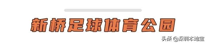 深圳大湾区未来5年的发展,深圳经济特区宝安