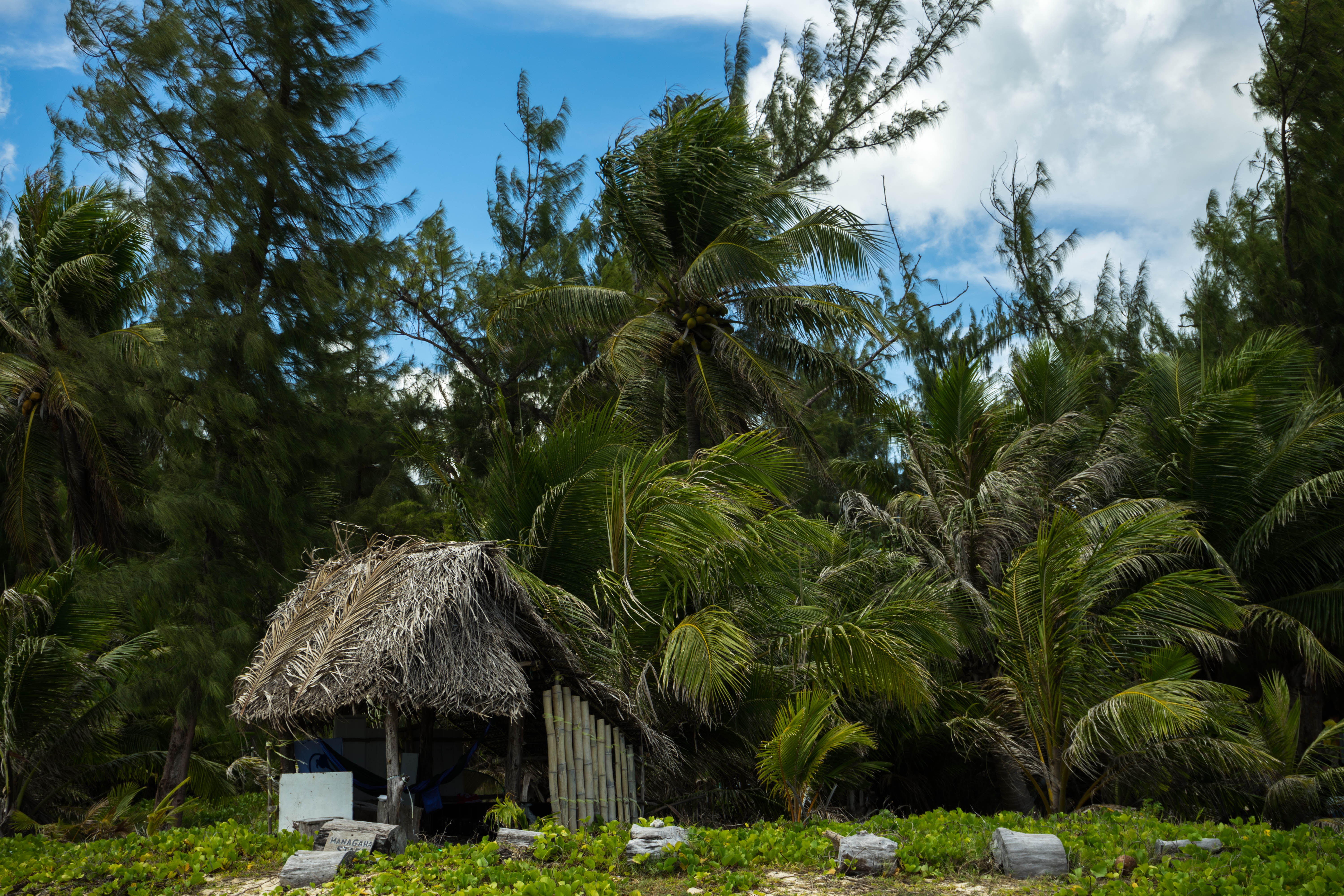 塞班蜜月旅游照,塞班岛蜜月自由行攻略