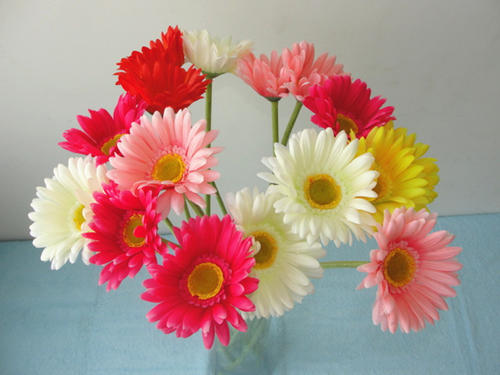 如果一个人想创业该怎么做,如果要跟朋友创业的话该注意什么