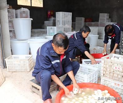 江西萍乡高质量推进乡村振兴,萍乡乡村振兴与脱贫攻坚