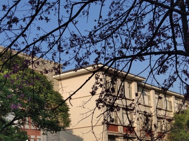 广东外语外贸大学什么专业最好,广东外语外贸大学哪个专业最好