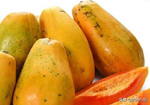 一个现在种植趋势的蔬果.木瓜