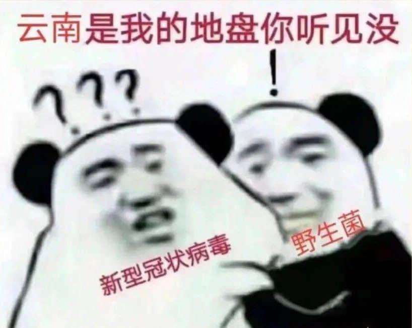 防食物中毒安全知识,吃菌的3个安全原则