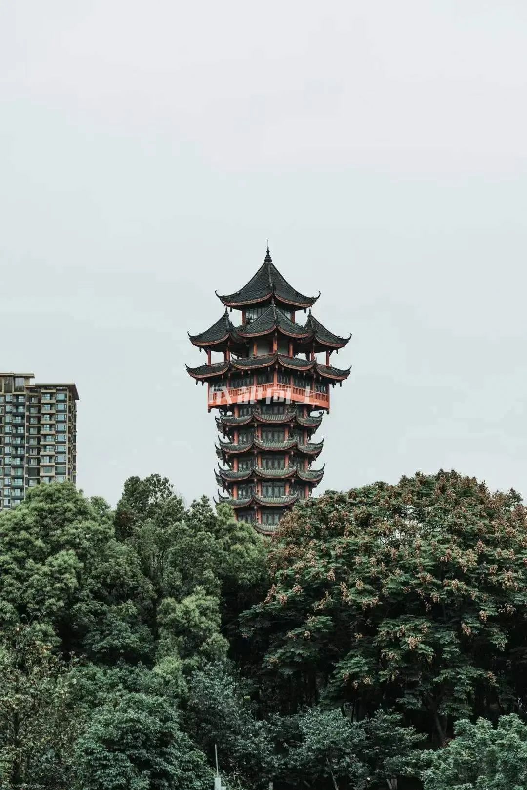 成都公园运营模式,成都公园维护成本