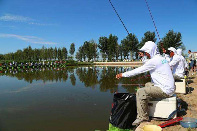 鲤鱼饵料黑坑专用黄面,黑坑钓鲤鱼黄面和什么饵料搭配好