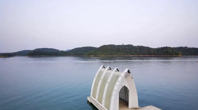 成都童话森林旅游,成都周边两小时的童话森林王国