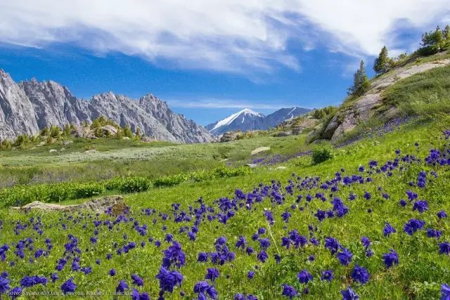 俄罗斯哪里最适合旅游,俄罗斯景色和文化