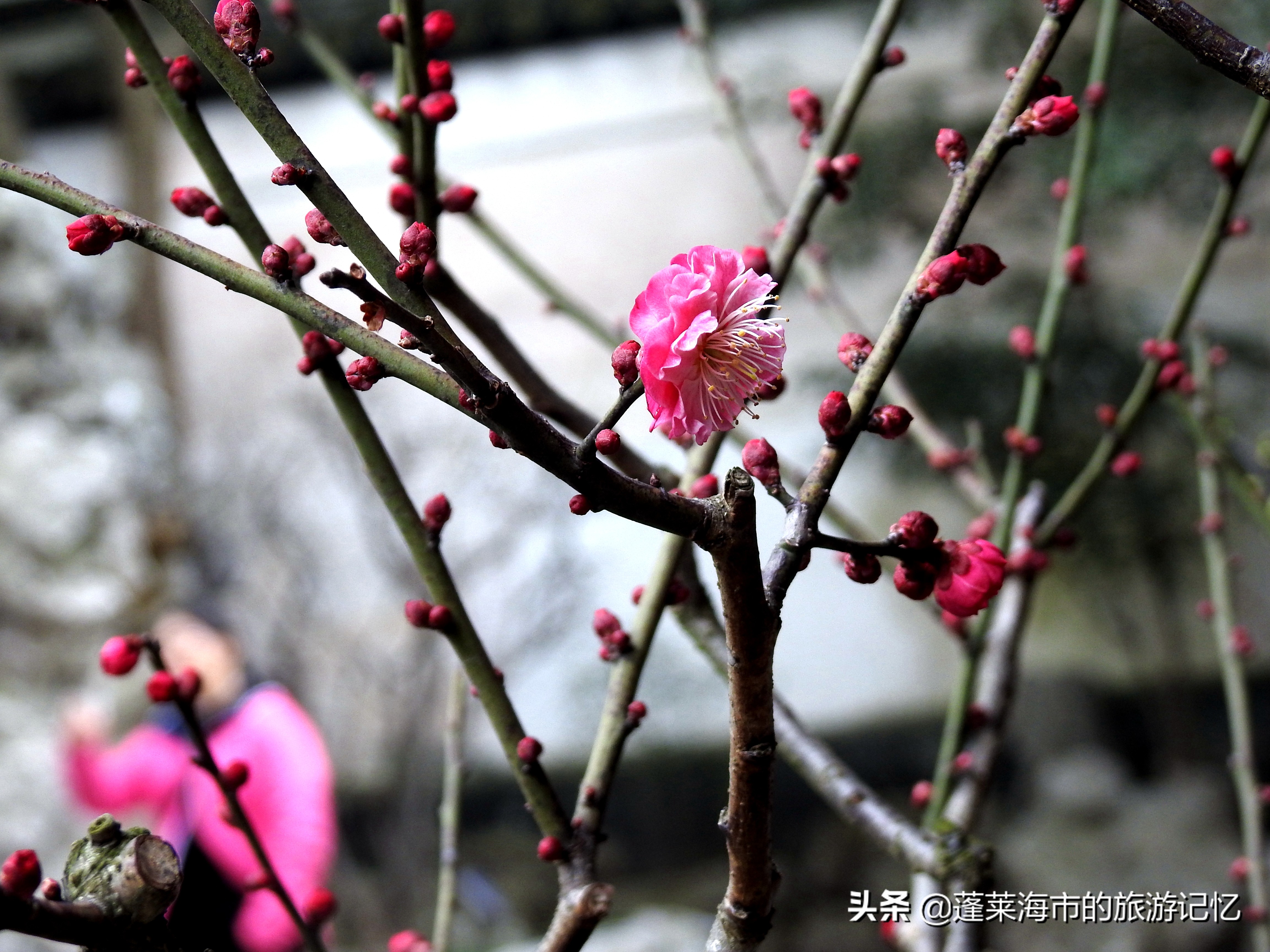 上海豫园点春堂,上海豫园城隍庙