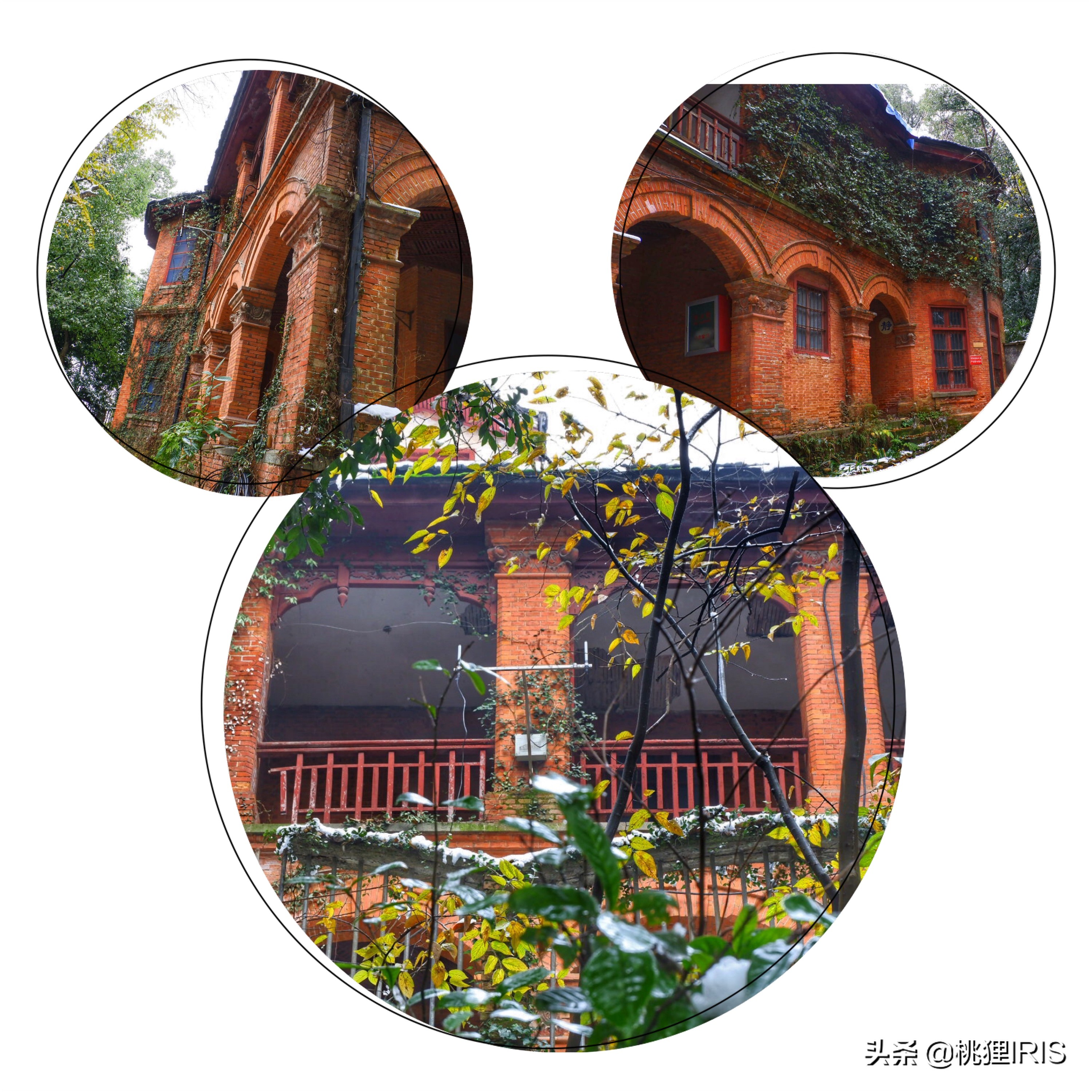 浙江大学钱塘江校区,看浙大钱塘江之江校区视频