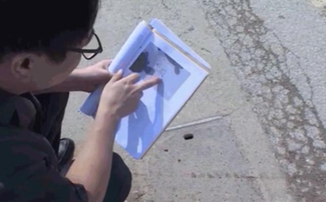 浙江一男子偷钱,一男子偷井盖栽了判刑8个月