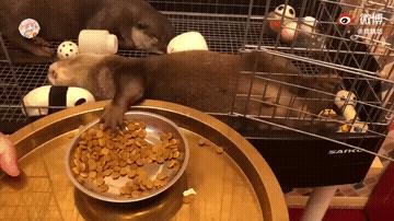 为啥加油站月薪两千还没人辞职,加油站上班工作强度大吗累吗