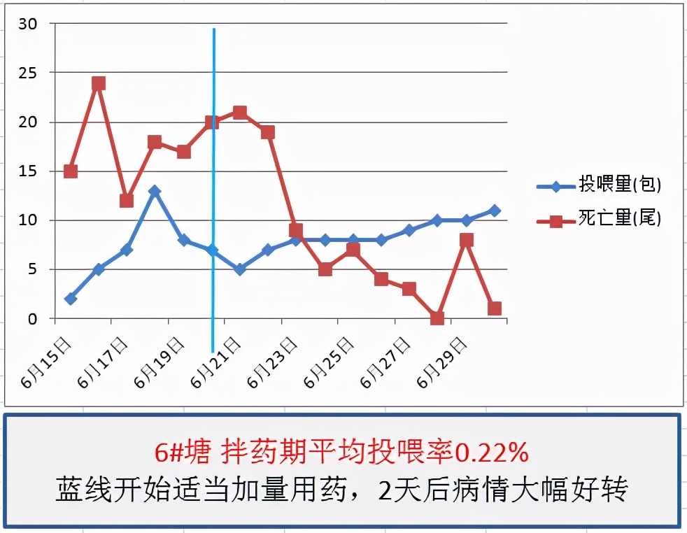 鱼得了肠炎还能活多久,生鱼烂身治疗