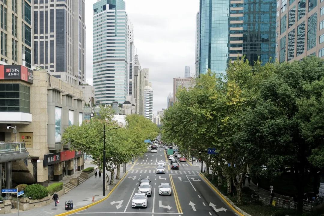 别争了,这条马路才是魔都内卷之王