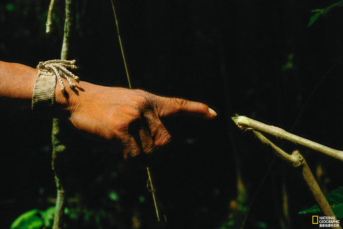 毒箭印第安人,印第安人面对入侵者为什么不抵抗